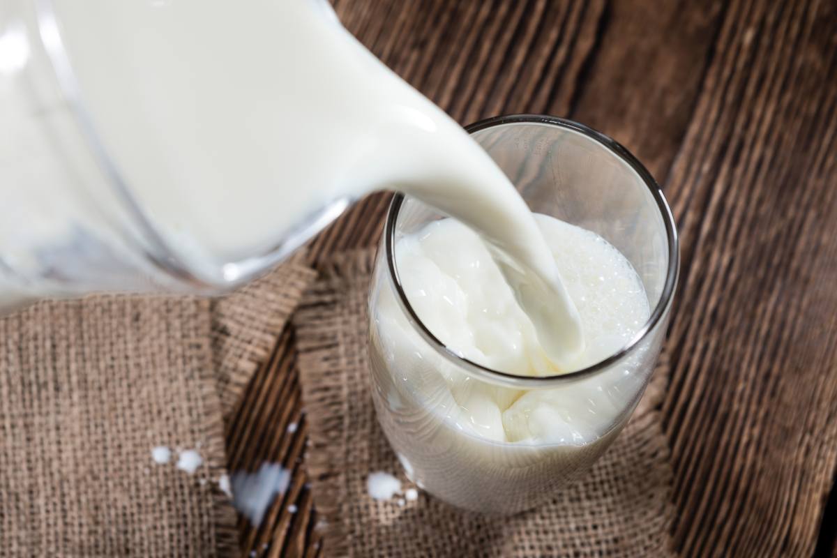 Saiba quais as calorias do leite integral