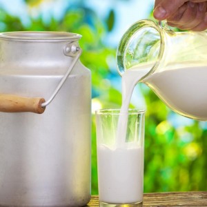 Como destemperar leite em poucos passos